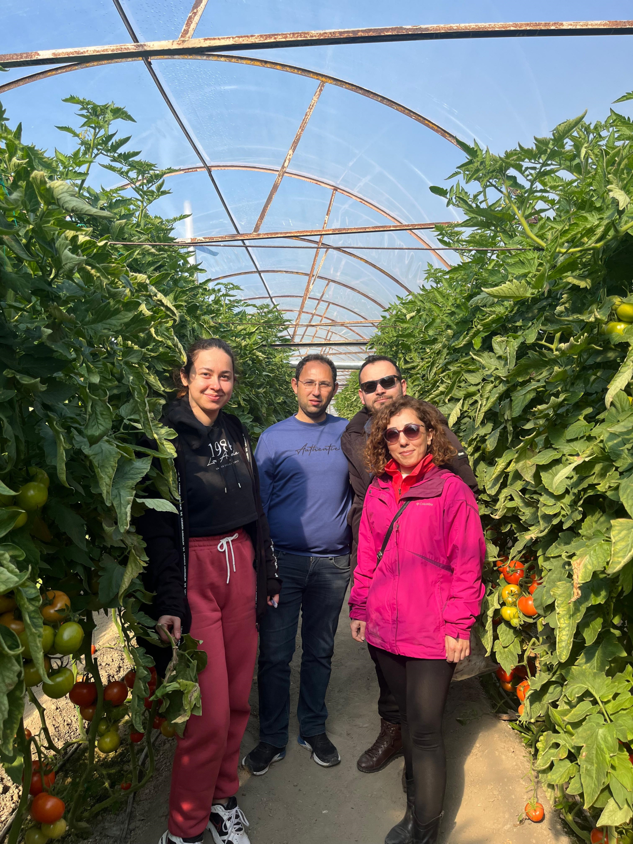 Hastalık ve Zararlı Keşfi İçin Arazi Surveyi